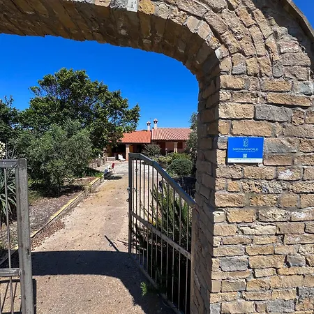 Casa L'arco Degli Ulivi - Pet Friendly By Sardinianworld